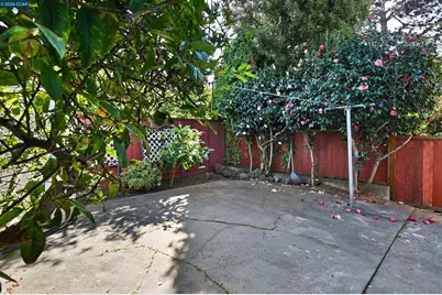 933 Cerrito St, Albany, CA 94706 - Photo 19