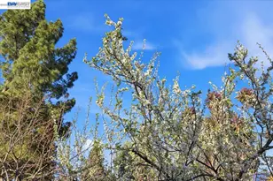 1565 Mendoza Ct, Pleasanton, CA 94566 - Photo 35