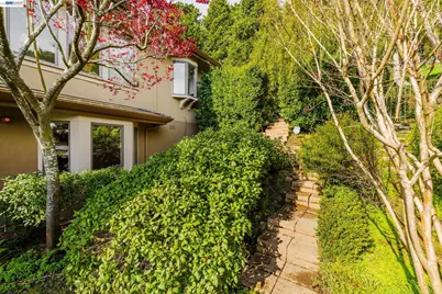 51 Seminary Cove Dr, Mill Valley, CA 94941 - Photo 41