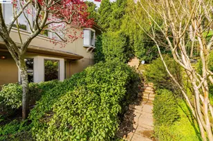 51 Seminary Cove Dr, Mill Valley, CA 94941 - Photo 41