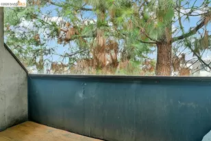 1699 Laguna St, Concord, CA 94520 - Photo 27