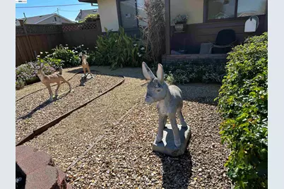 5671 Coral Ct, Fremont, CA 94538 - Photo 7