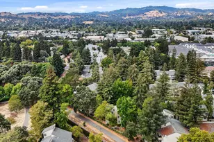 2724 Oak Rd, Walnut Creek, CA 94597 - Photo 27