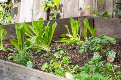 3316 Harrison St, Oakland, CA 94611 - Photo 3