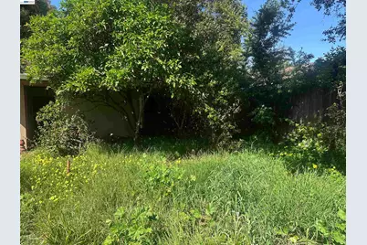 2533 Harrington Ave, Oakland, CA 94601 - Photo 29