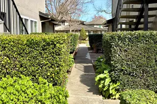 1360 Del Rio Ct, Concord, CA 94518 - Photo 3