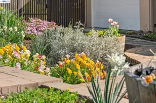 682 Jennie Ct, Lafayette, CA 94549 - Photo 5