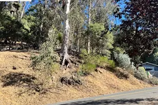 5847 Ascot Dr, Oakland, CA 94611 - Photo 13