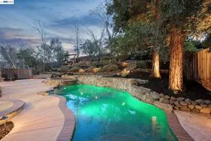 1039 Hopkins Way, Pleasanton, CA 94566 - Photo 59