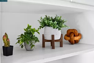 230 Fairlawn Dr, Berkeley, CA 94708 - Photo 11