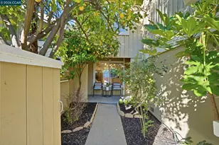 208 Siskiyou Ct, Walnut Creek, CA 94598 - Photo 7