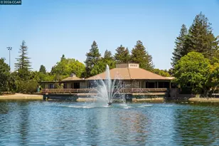 1251 Homestead Ave, Walnut Creek, CA 94598 - Photo 23