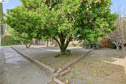 40242 Crockett St, Fremont, CA 94538 - Photo 53