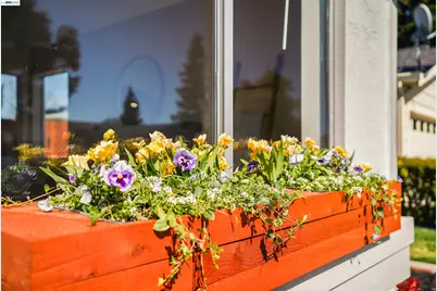 4138 Bishop Pine Way, Livermore, CA 94551 - Photo 5