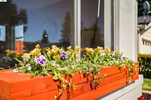 4138 Bishop Pine Way, Livermore, CA 94551 - Photo 5