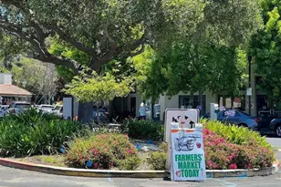 415 Berkeley Park Blvd, Kensington, CA 94706 - Photo 39