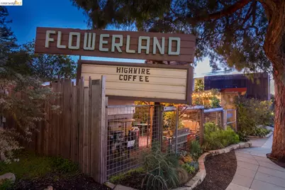 926 Pierce St, Albany, CA 94706 - Photo 51