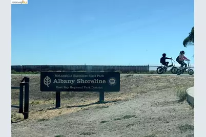 926 Pierce St, Albany, CA 94706 - Photo 53