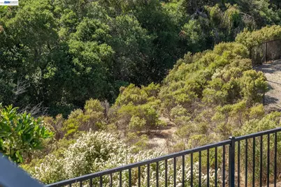 24170 Amaranth Loop, Hayward, CA 94541 - Photo 39