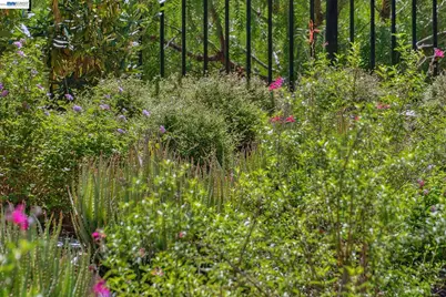 24170 Amaranth Loop, Hayward, CA 94541 - Photo 57