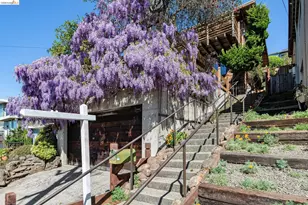 249 Trinity Ave, Kensington, CA 94708 - Photo 5