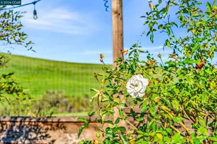 116 Spalding Ct, San Ramon, CA 94582 - Photo 53