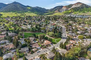 218 Mountaire Cir, Clayton, CA 94517 - Photo 47