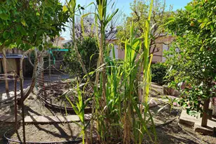 2856 15th St, San Pablo, CA 94806 - Photo 9