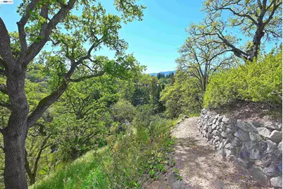 16 Ardendale Ct, Alamo, CA 94507 - Photo 13