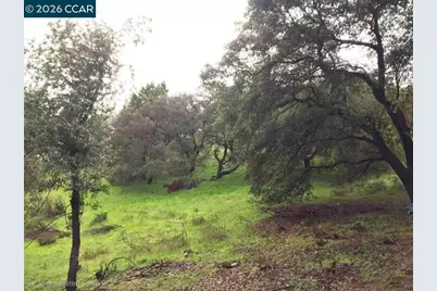 16 Brandywine Way, Martinez, CA 94553 - Photo 1