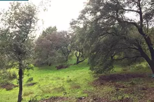 16 Brandywine Way, Martinez, CA 94553 - Photo 1