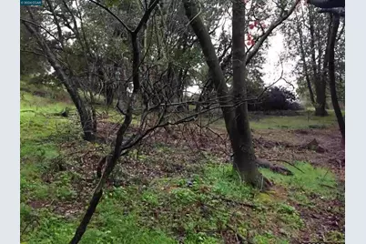 16 Brandywine Way, Martinez, CA 94553 - Photo 3