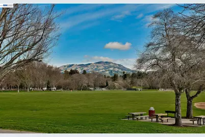 181 Paraiso Dr, Danville, CA 94526 - Photo 39