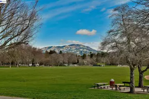 181 Paraiso Dr, Danville, CA 94526 - Photo 39