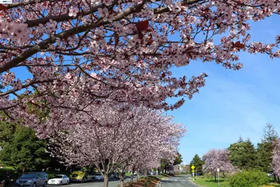 130 Lakeshore Ct, Richmond, CA 94804 - Photo 53