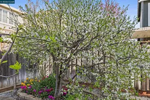 649 Spillman Cir, Vacaville, CA 95688 - Photo 39