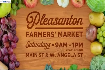 670 Peters, Pleasanton, CA 94566 - Photo 35