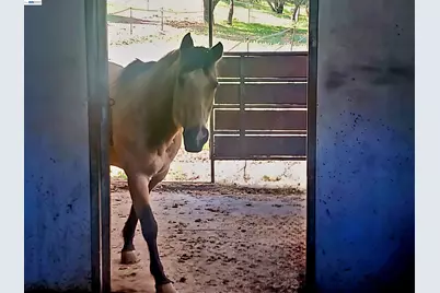 10700 Foothill Rd, Sunol, CA 94586 - Photo 53