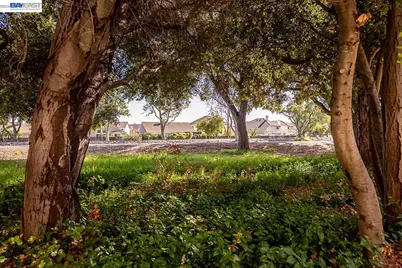 33479 Alvarado Niles Rd, Union City, CA 94587 - Photo 55