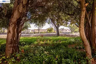 33479 Alvarado-Niles Rd, Union City, CA 94587 - Photo 55