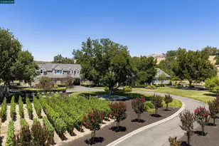 5401 Penny Ln, Danville, CA 94506 - Photo 61