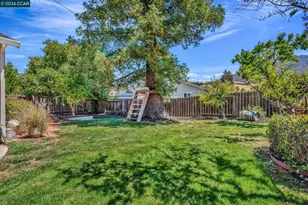 33 El Molino Dr, Clayton, CA 94517 - Photo 37