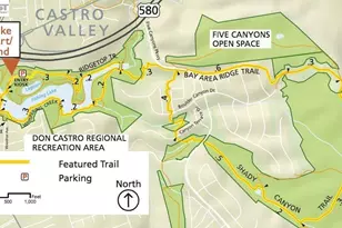 25318 Buckeye Dr, Castro Valley, CA 94552 - Photo 51