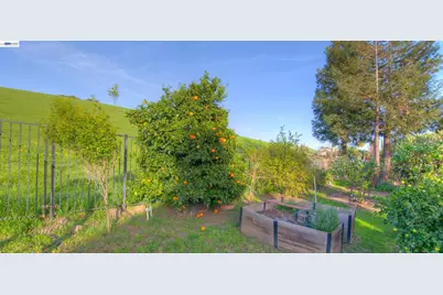 35172 King Ct., Fremont, CA 94536 - Photo 41