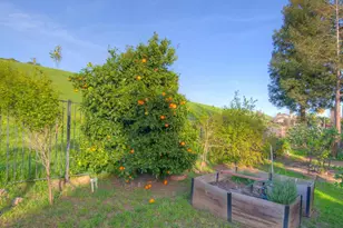 35172 King Ct, Fremont, CA 94536 - Photo 41