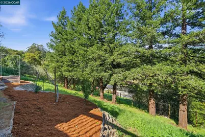 102 Hillcrest Dr, Orinda, CA 94563 - Photo 39