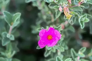 1650 Shasta St, Richmond, CA 94804 - Photo 19