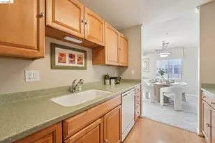 535 Pierce St, Albany, CA 94706 - Photo 23