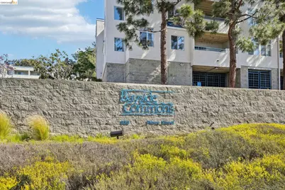 535 Pierce St #3216, Albany, CA 94706 - Photo 3