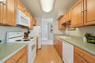 535 Pierce St, Albany, CA 94706 - Photo 19